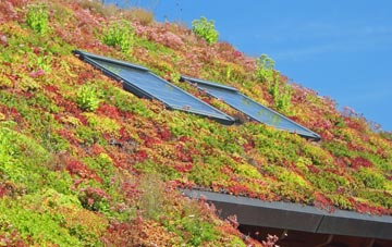 Rougham Green living roof systems